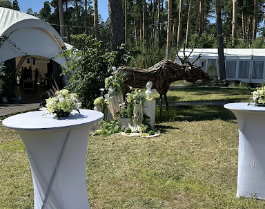  ресторан Forest-lake