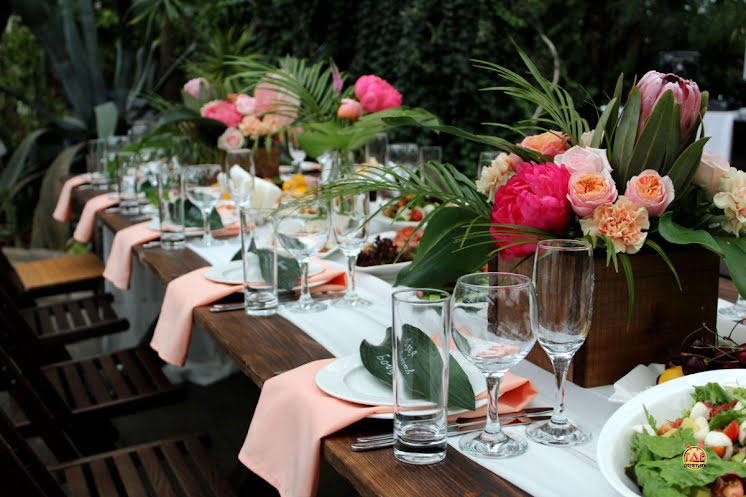 Оранжерея  в «Оранжерея Таврического Сада» фотография №13