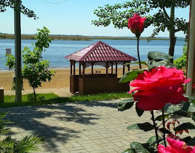  ресторан Водник