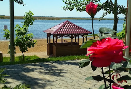 Беседки  в Кафе