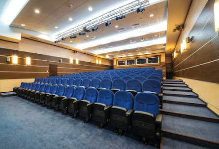 Большой конференц-зал "Дежавю" в Альпийские дома "Южный поселок"