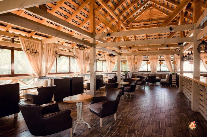 Чайка фотография №7