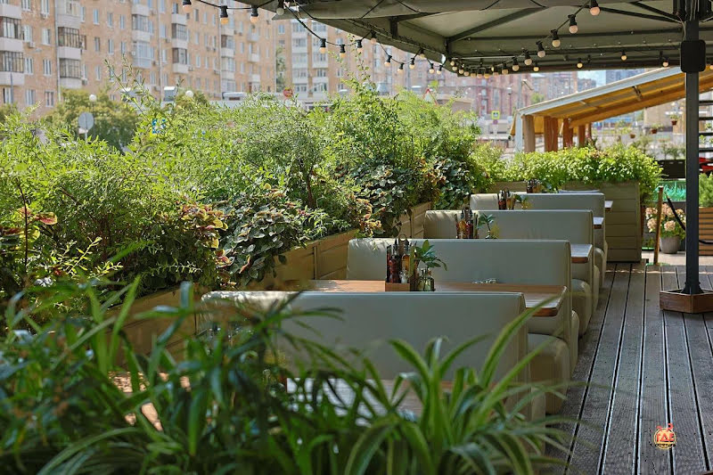 Osteria Mario на Соколе фотография №4