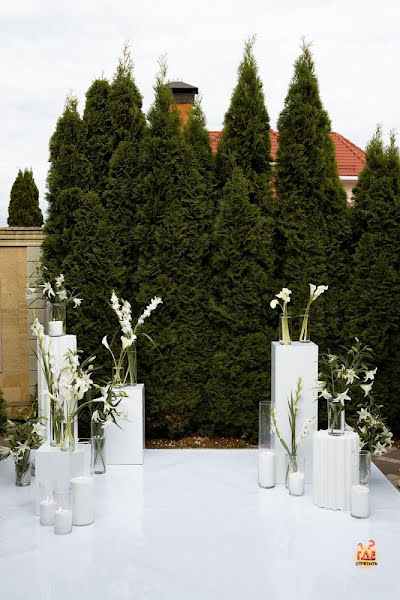 TRITONIA фотография №1