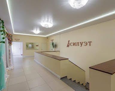 День рождения в Силуэт