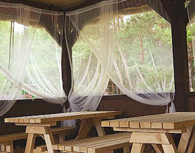  ресторан Экстримлэнд