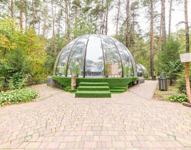  ресторан Хвоя