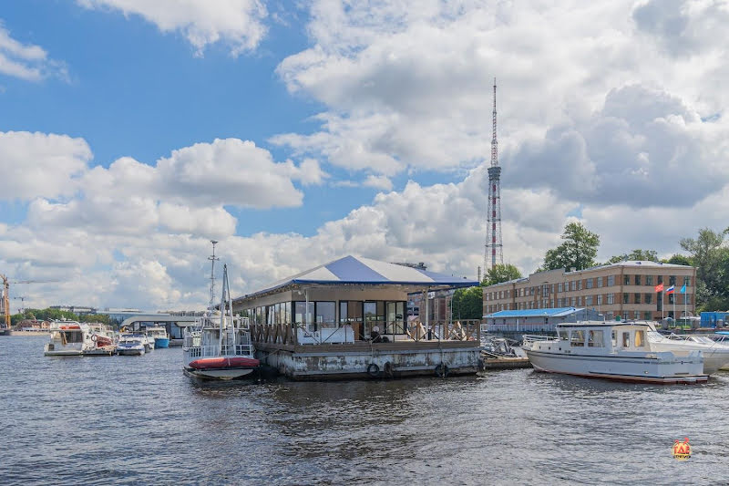 WhiteMare фотография №10