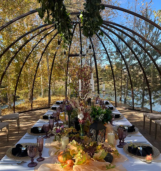 Дикий фотография №12