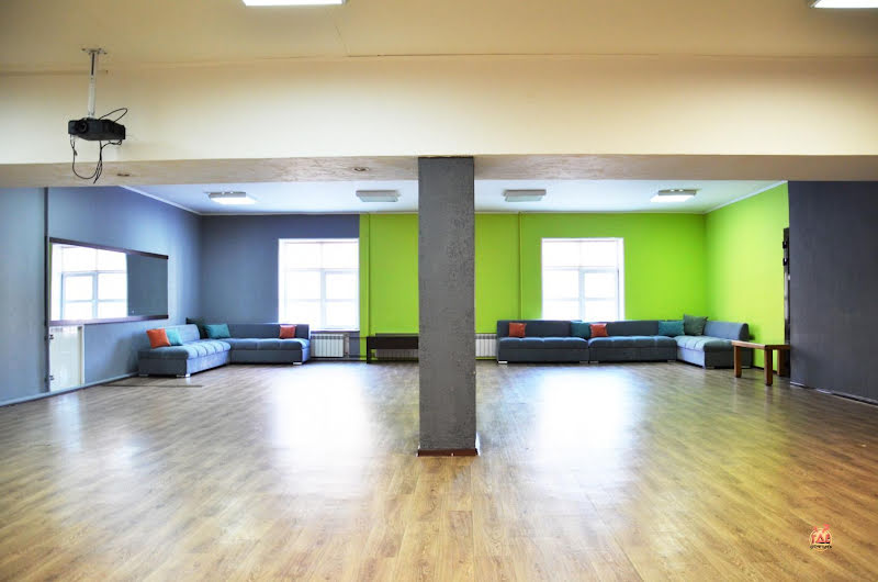 Чайка фотография №16