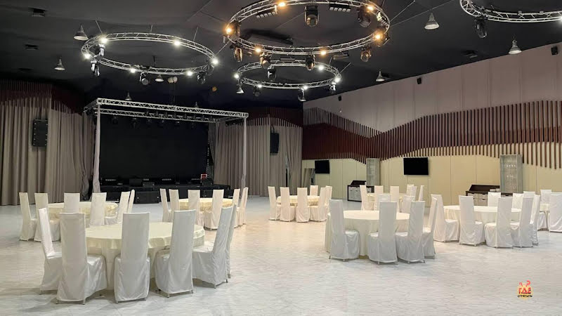 Чайка фотография №15