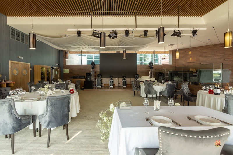 Чайка фотография №6