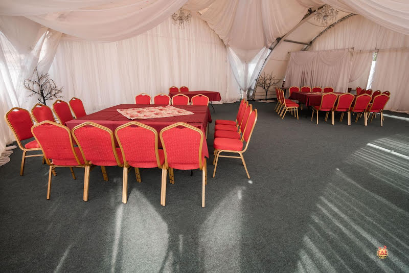 Белая лошадь фотография №10