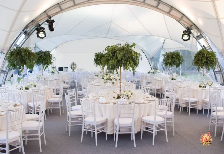 Усадьба Кусково фотография №16