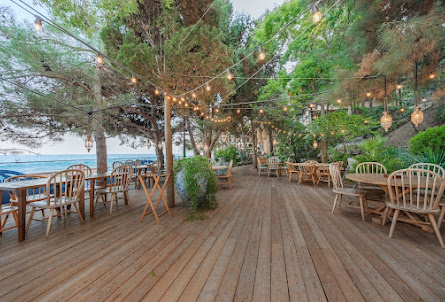 Летние площадки в Летние площадки