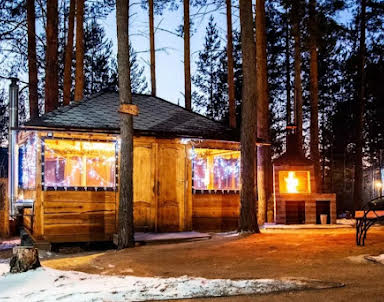  ресторан Лесная галактика