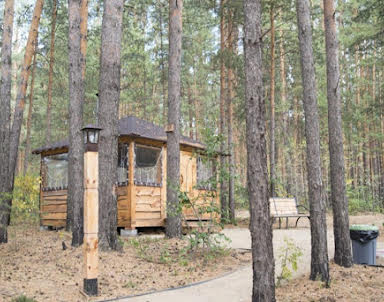  ресторан Лесная галактика