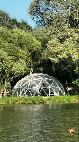 Купол в «Парк семейного отдыха «Мир»» фотография №6