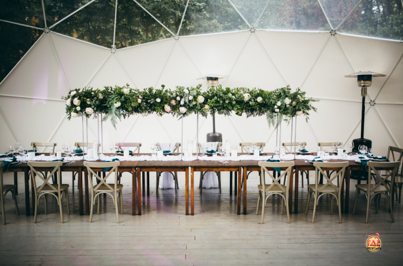 Лесной берег фотография №17