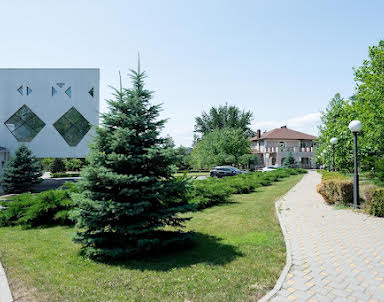 Свадьба в Надежда