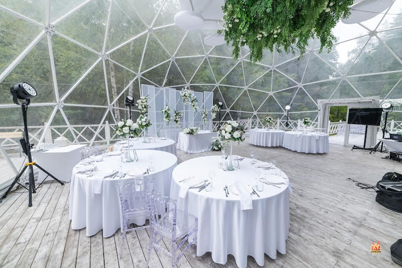 Хвоя фотография №9