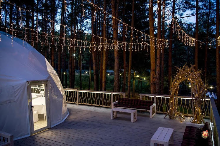 Купол «Премьер» в «Лесная галактика» фотография №15