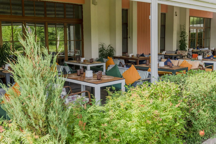 Веранда  в «Дюшес Зеленоград» фотография №7