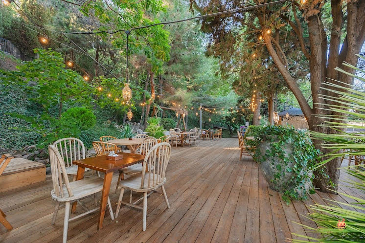 Летние площадки в «Море» фотография №3