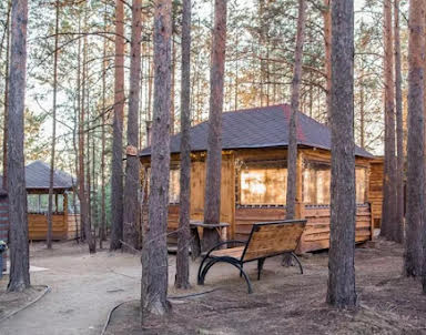  ресторан Лесная галактика