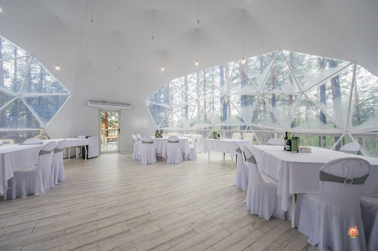 Купол «Премьер» в «Лесная галактика» фотография №9