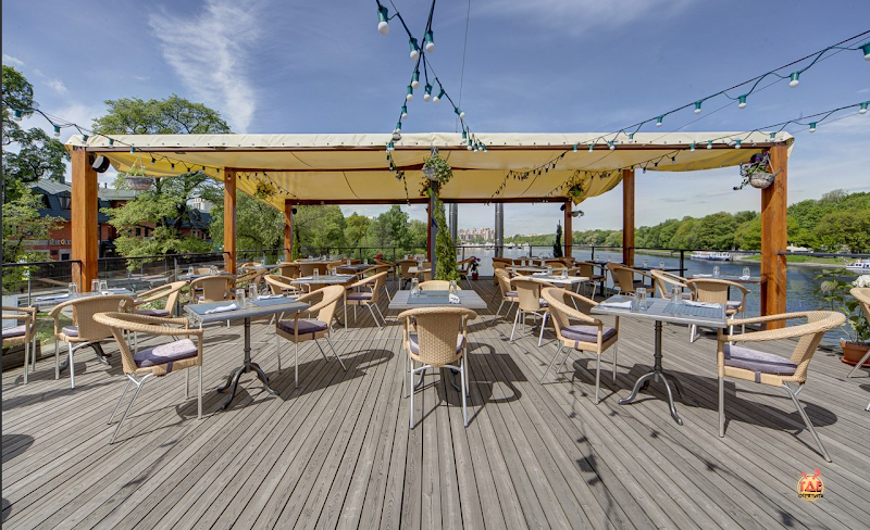 Чайка фотография №12