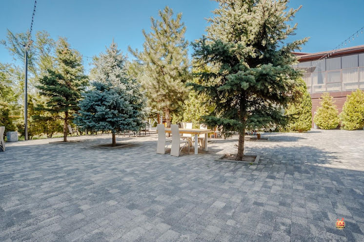 Летняя площадка в «Голубое Озеро» фотография №5