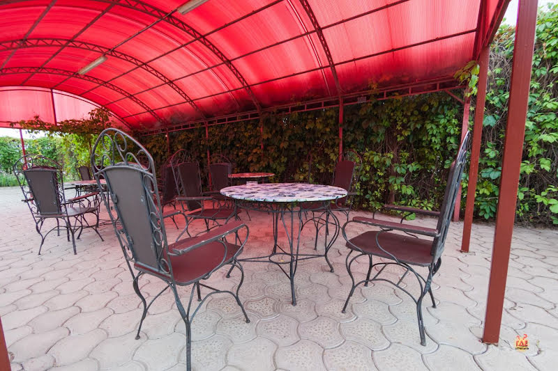 Персик фотография №14