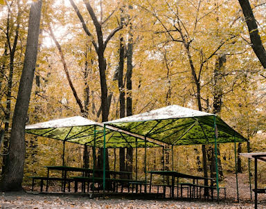 День рождения в Лесная Крепость