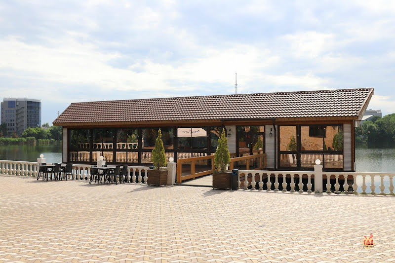 Белая береза фотография №12