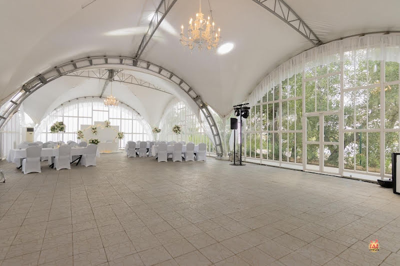 Чайка фотография №5