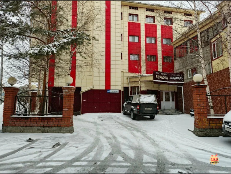 Медведь фотография №1