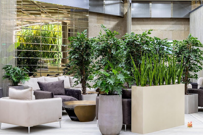 Пирамида фотография №10