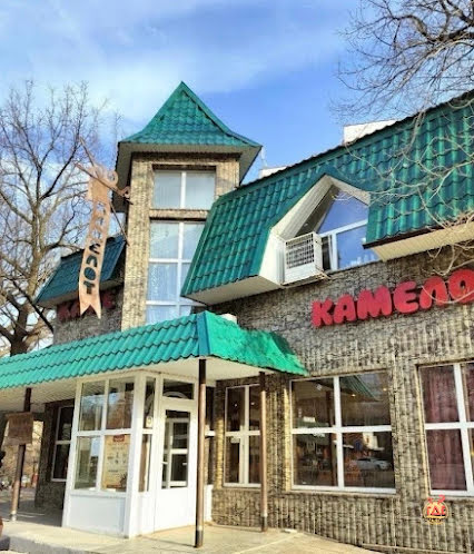 Основной зал в «Камелот» фотография №5