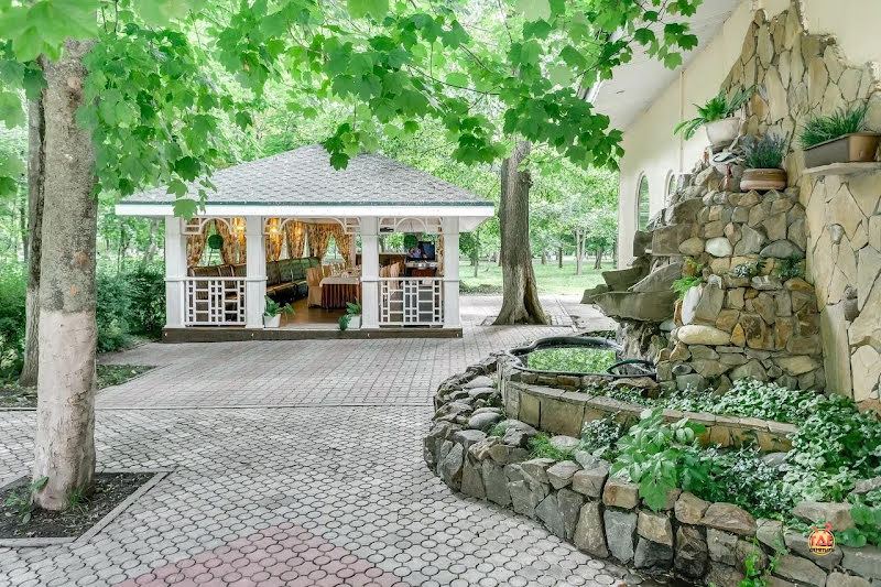 Махаон фотография №4