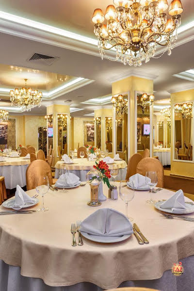 Чайка и Бурлак фотография №12