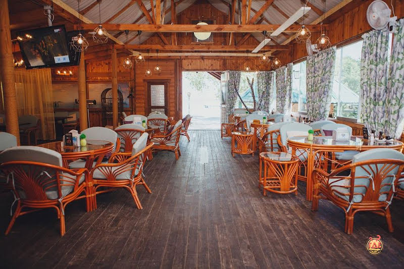 Березка фотография №16