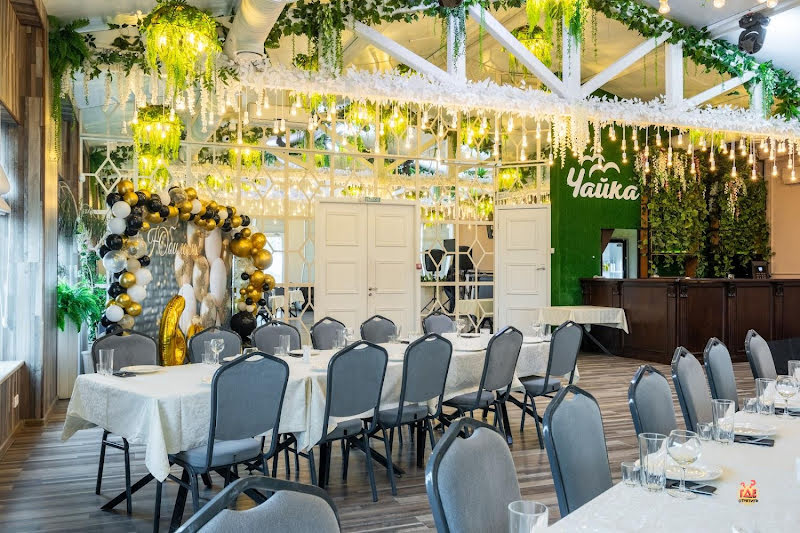 Чайка фотография №9