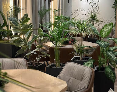  ресторан Корова