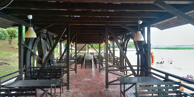 Подсолнух фотография №1