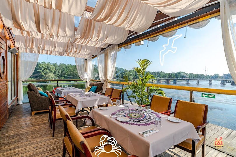 Чайка фотография №4