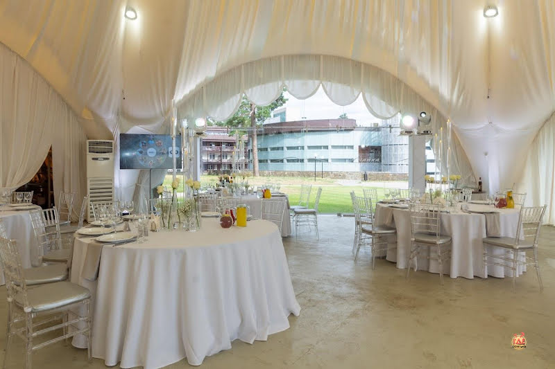 Чайка фотография № 1