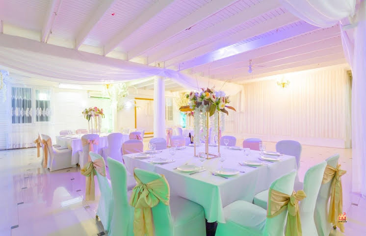 Зал «Элизиум» в «Vnukovo Village» фотография №2