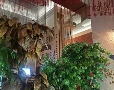  ресторан Гиви to me на улице Ткачей