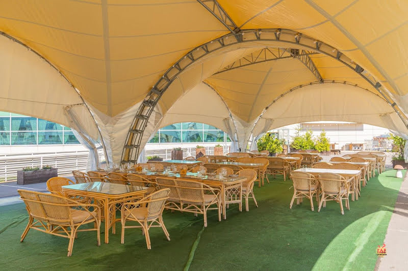 Гуси-Лебеди фотография №5